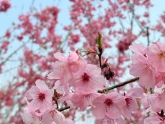 -梁鸿国家湿地公园