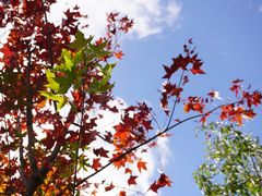 -香山公园-东宫门售票处