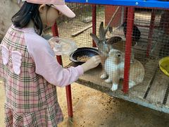 -启东恒大海上威尼斯酒店