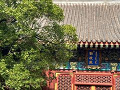 -香山公园