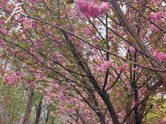 -仙海旅游度假区