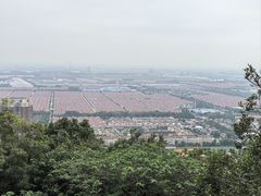 -华西村
