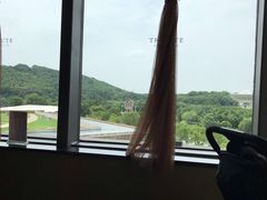 -佘山世茂艾美·御珍轩中餐厅