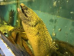 -厨房好味(国贸店)