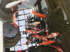 -苏州环秀晓筑养生度假村