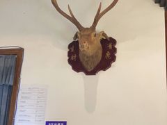 -自己人(九码头店)