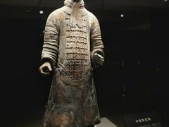 -秦始皇帝陵博物院(兵马俑)