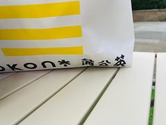 -蒲公英(五里店)