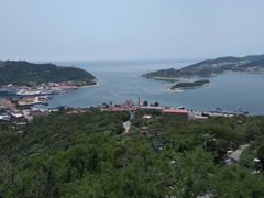 -仙人岛