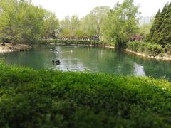 -长白岛森林公园