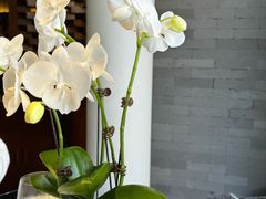 -京兆尹(雍和宫店)