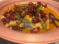 -柿合缘新京菜(国金中心商场店)