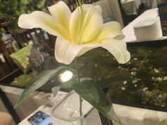 -聆桂烤鸭·金奖烤鸭(静联广场店)