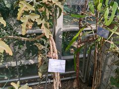 -南山植物园