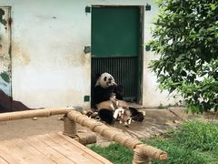 -无锡动物园·太湖欢乐园