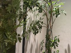 -雅苑中餐厅