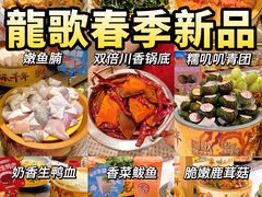 -龍歌自助小火锅(市南金茂湾店)