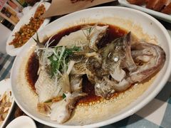 -紫光园·烤鸭·北京菜(劲松店)