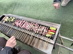 -尚庄度假村·庭台树下·户外烧烤·团建CS·轰趴营地(上庄水库店)