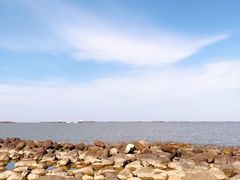 -吴淞炮台湾湿地森林公园烧烤区