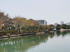 -白鹭洲公园