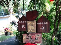 -兴隆隆苑咖啡庄园