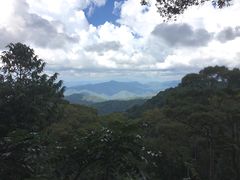 -清迈丛林飞跃 JungleFlight
