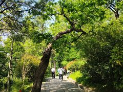 -青岛崂山太清宫