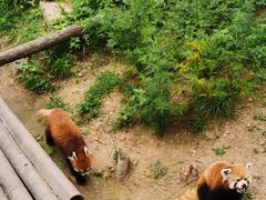 -大连森林动物园