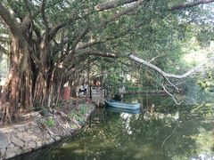 -人民公园(罗湖区)