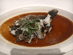 -至尊鲨鱼·原烹海鲜·新浙菜(拱宸桥店)