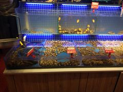 水产区-必点海鲜·鲅鱼水饺(鞍山西道店)
