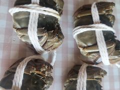 -阳澄湖大闸蟹·琼灵阁牌品牌连锁(吴中总店)