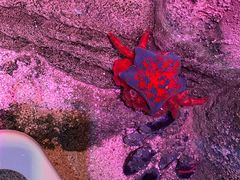 -沈阳海洋探索中心