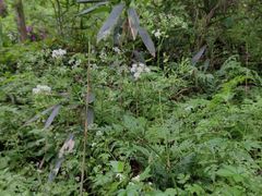 -南山风景名胜区