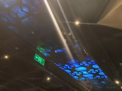 -bluefrog蓝蛙(水游城店)