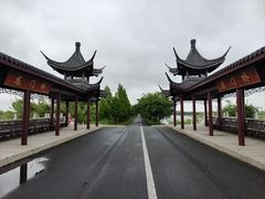 -泗洪洪泽湖湿地景区