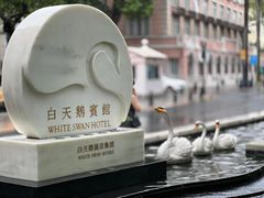 -广州白天鹅宾馆