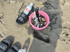 -启东黄金海滩景区