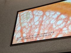 -喜茶(广州中山六路店)