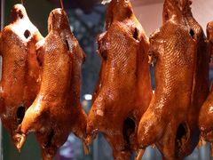 -春梅里卤鹅馆·47年老字号(中山路店)