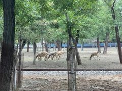 -秦皇岛野生动物园