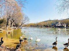 -石家庄市动物园