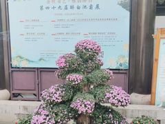 -上海醉白池公园