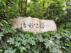 -成都市活水公园
