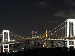 -台场海滨公园船码头