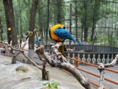 -北京野生动物园