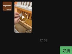 -帕帕拉兹宠物(亚洲旗舰店)