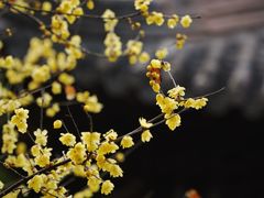 -钱王祠