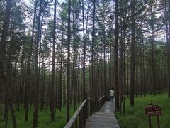 -苏木山森林公园